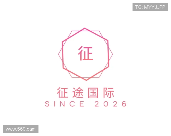 洞悉征途国际